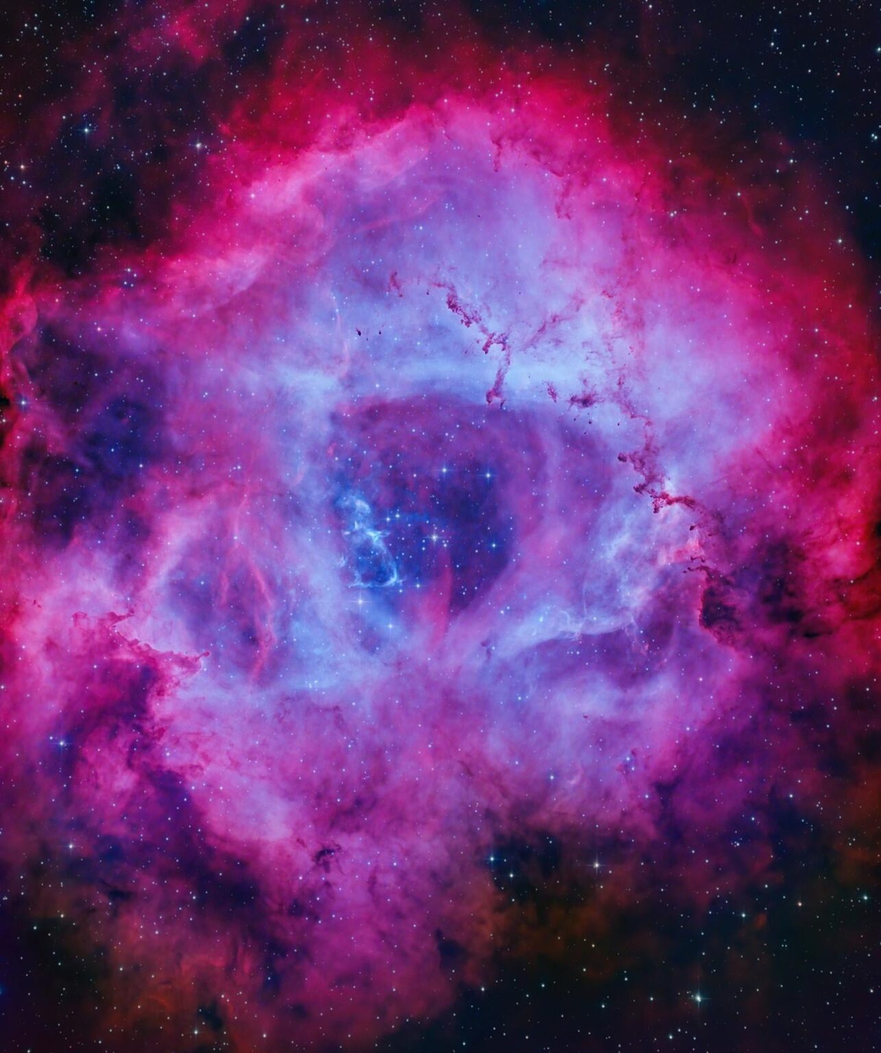 Das Rosette -Nebel -Bild aus meinem Garten in der Stadt.