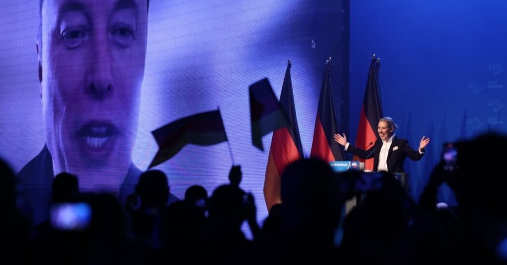 Warum unterstützen Musk und einige andere US -Politiker die deutsche AFD -Partei?