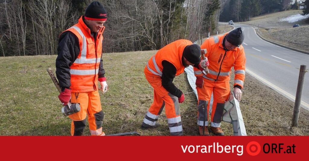 Freiwillige Helfer retten Frösche und Kröten