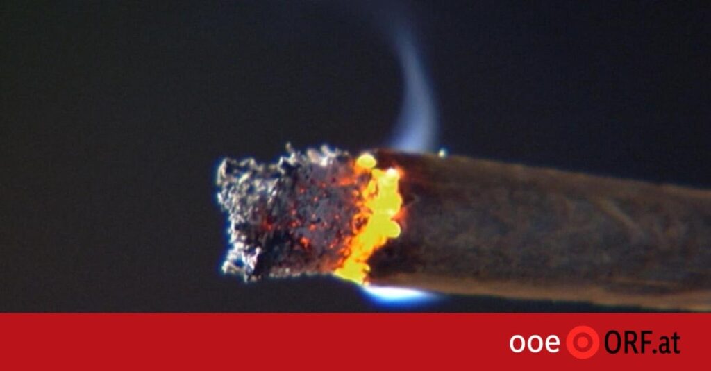 Befürchteter „Cannabis-Tourismus“ blieb aus