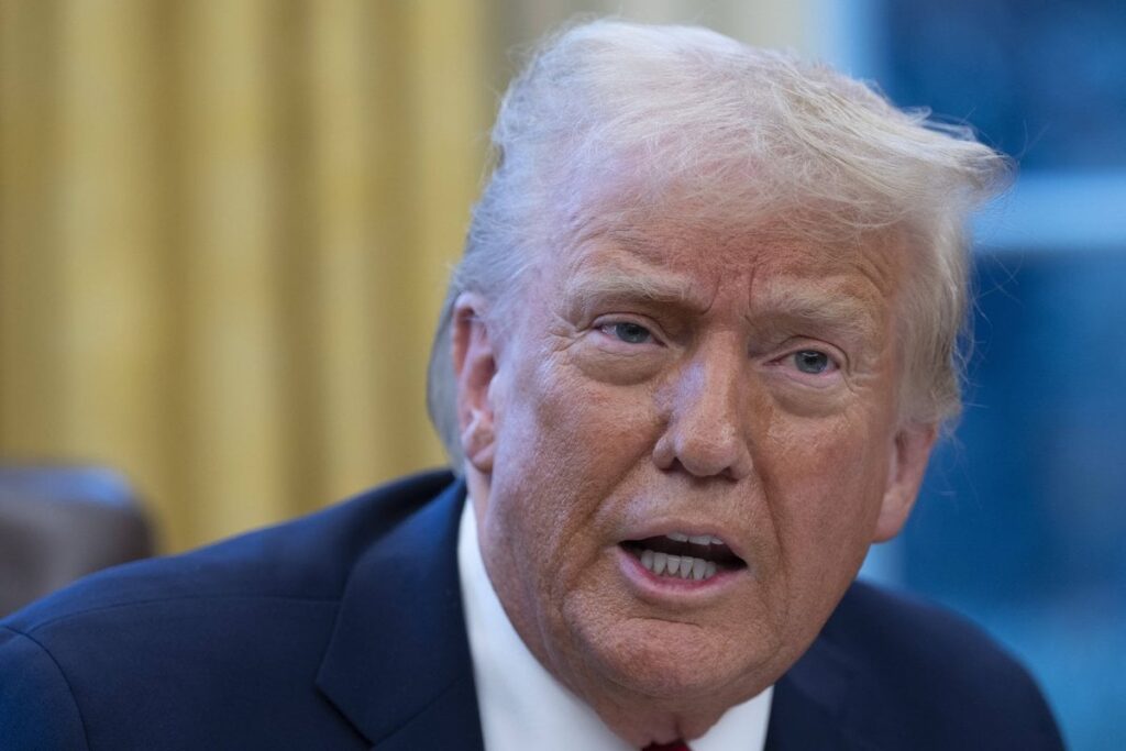 Trump kündigte an, dass er Seltene erdmetalle aus der Ukraine zur Unterstützung will