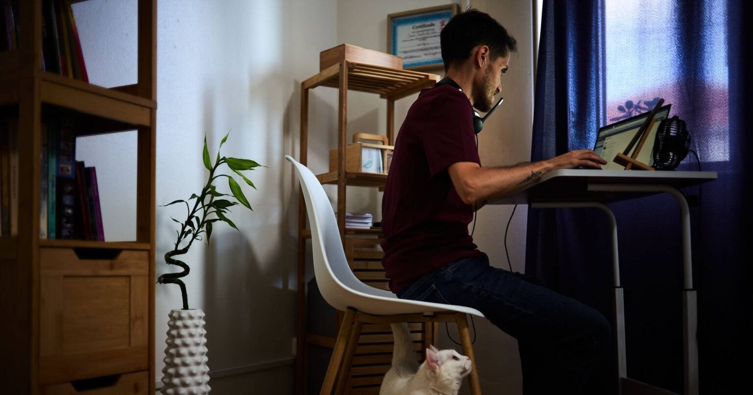 Jeder fünfte Portugiesisch telefoniert, die meisten von ihnen im Hybridregime