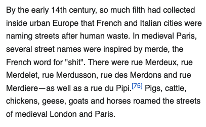 Aja, dass bestimmte französische Straßen im Mittelalter so schmutzig waren, dass sie dementsprechend genannt wurden: Rue Merdeux, Rue des Merdons, Rue du Pipi in Paris zum Beispiel