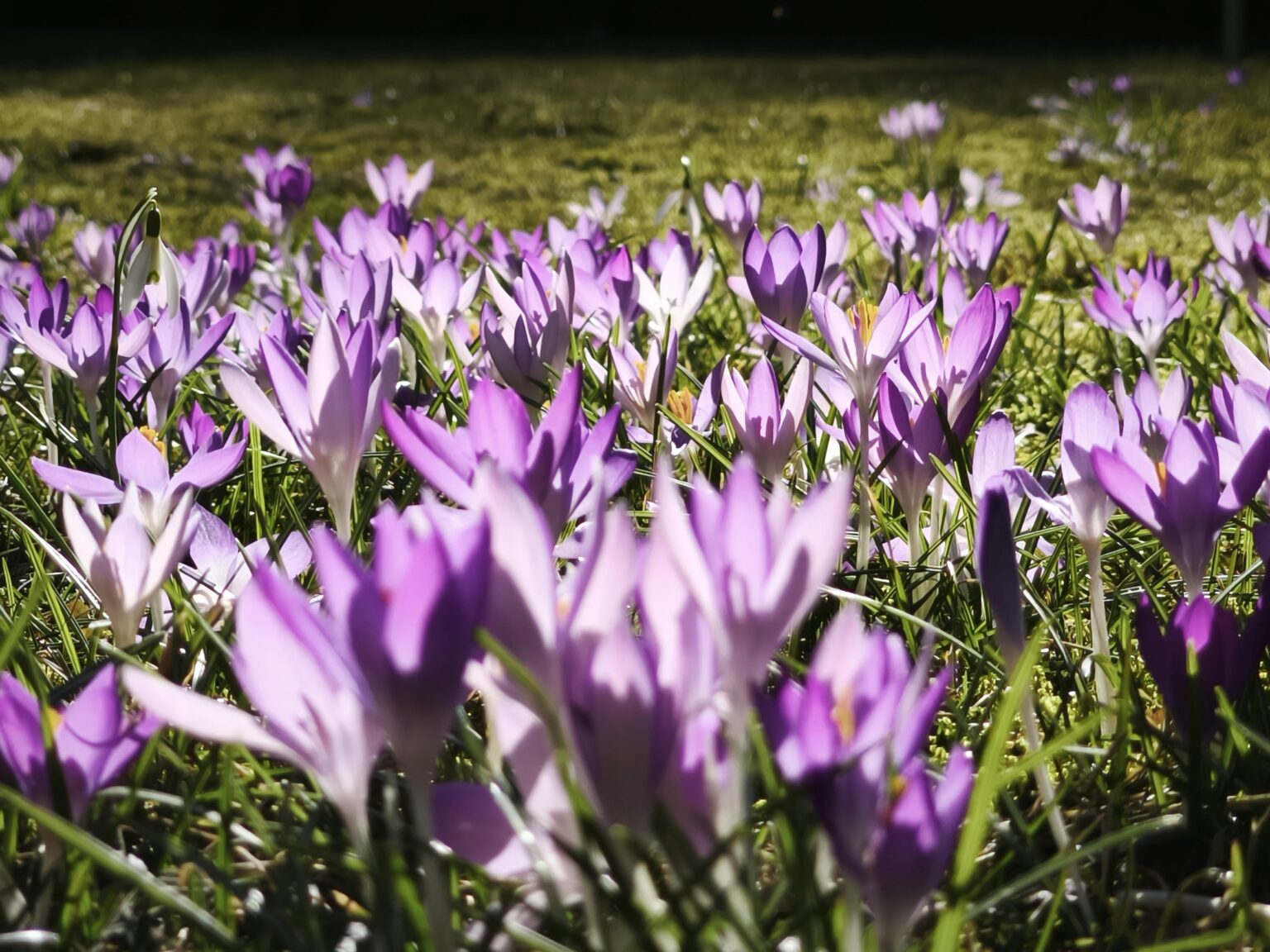 Frühling!