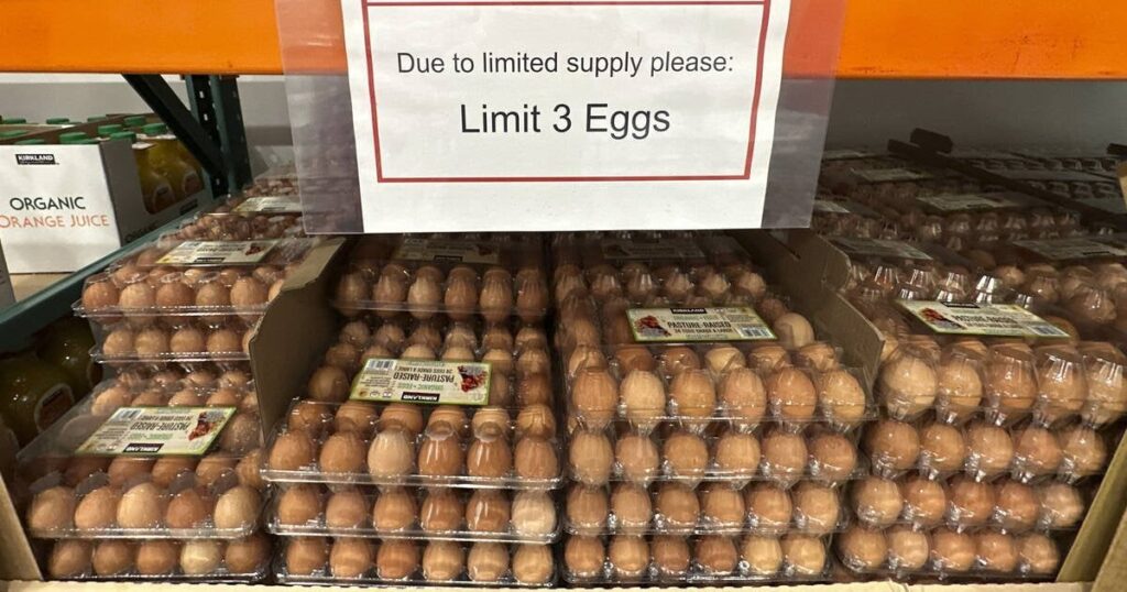 Inmitten des Eiermangels ruft die Vereinigten Staaten Dänemark auf, um zu helfen Inmitten des Eiermangels ruft die Vereinigten Staaten Dänemark auf, um zu helfen