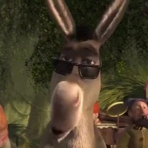 Ich dachte eine gute Party -Playlist