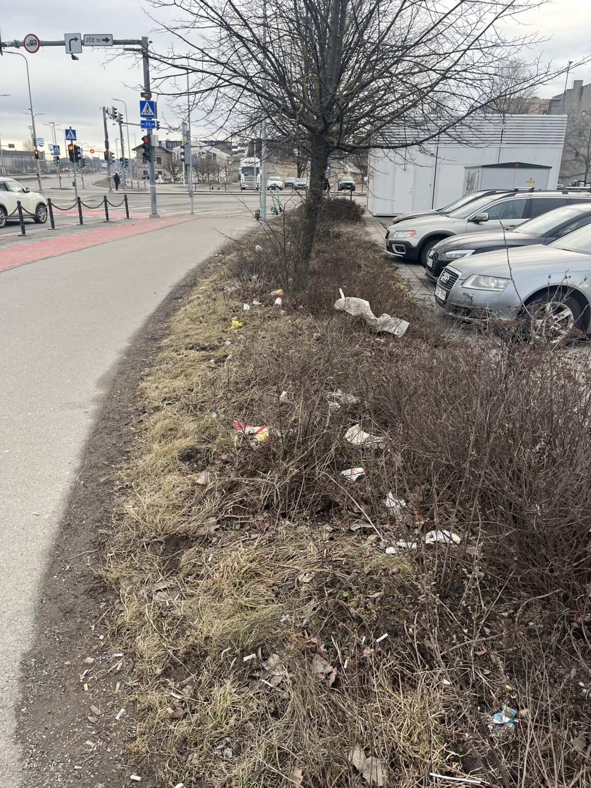 Müll -freier Tallinn