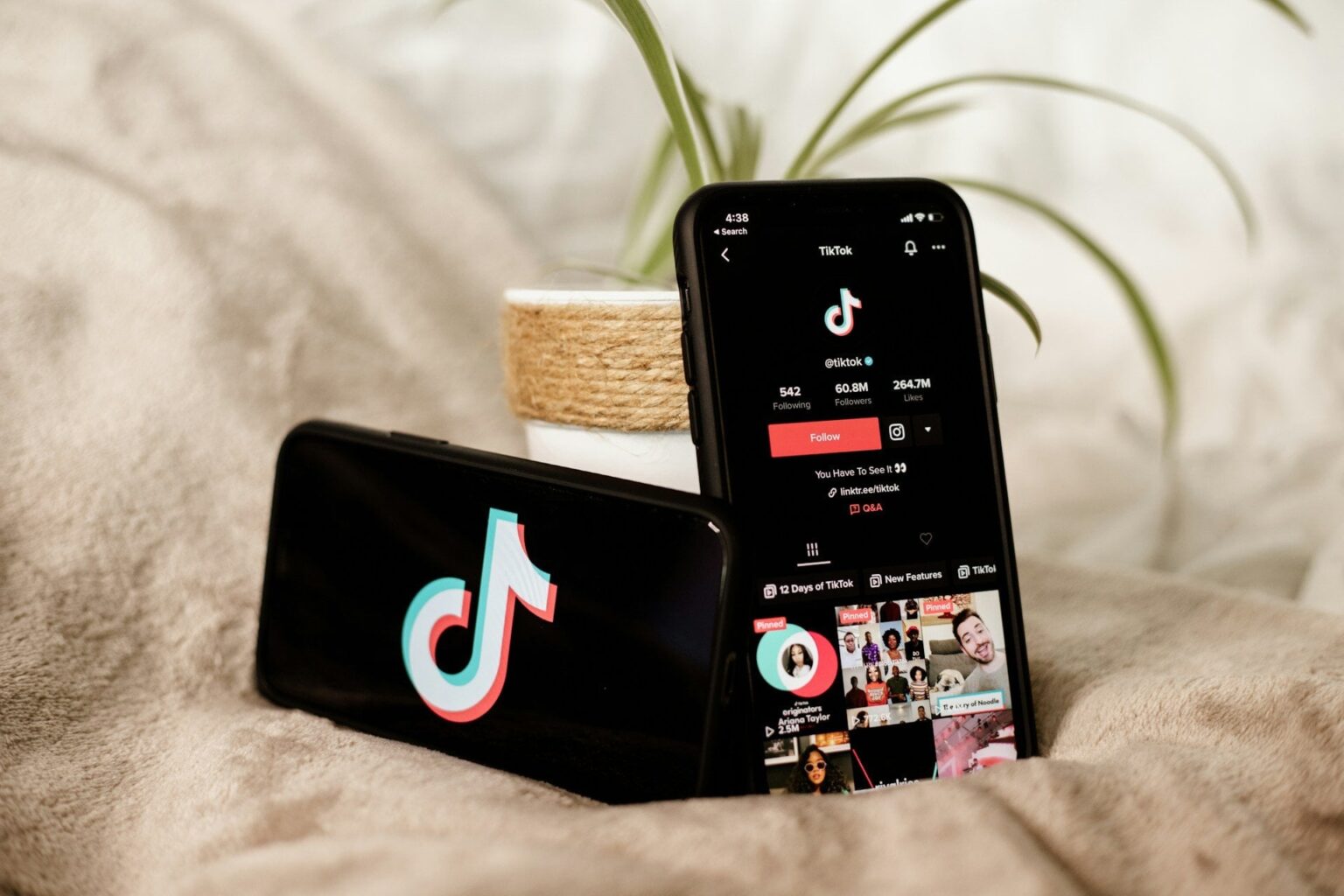 Minderjährige: Die Versammlung stimmt mit einer Untersuchung ab, um die psychologischen Auswirkungen von Tiktok zu bewerten
