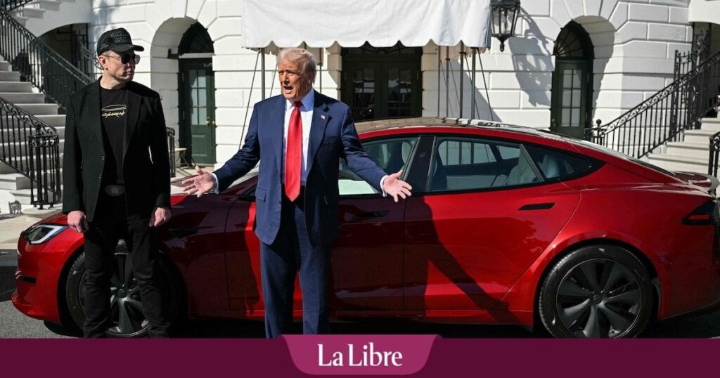 Trump droht diejenigen, die Tesla in Salvador zu den Gefängnissen zerstören: „Ich kann es kaum erwarten, diese Terroristen 20 Jahre dauern zu sehen.“ Trump droht diejenigen, die Tesla in Salvador zu den Gefängnissen zerstören: "Ich kann es kaum erwarten, diese Terroristen 20 Jahre dauern zu sehen."