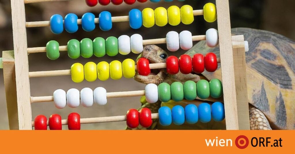 Inventur: 6.043 Tiere leben in Schönbrunn