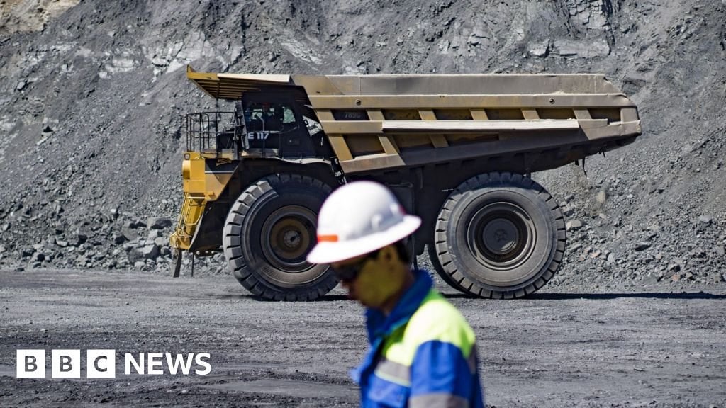 Putin bietet uns russische und ukrainische seltene Mineralien an