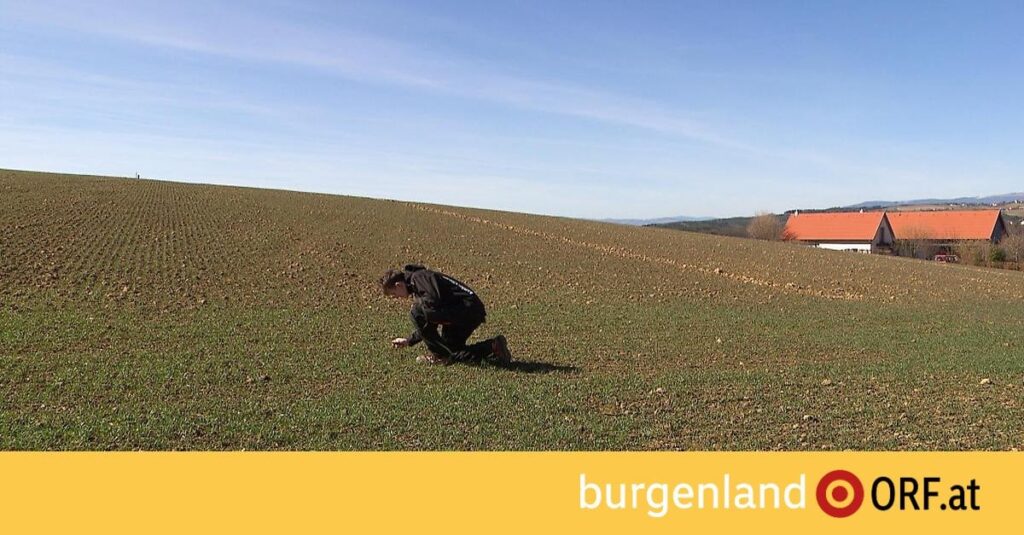 Biobauern unter Druck