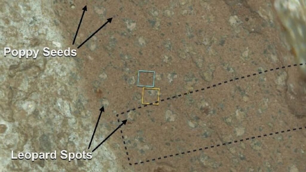 "Poppy Seeds" und "Leopard -Spots" auf dem Mars könnten auf das alte mikrobielle Leben hinweisen