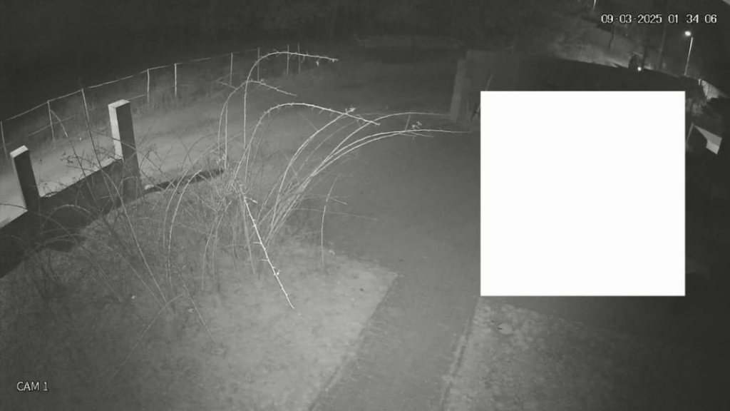 Helfen Sie uns, das Automodell zu identifizieren?