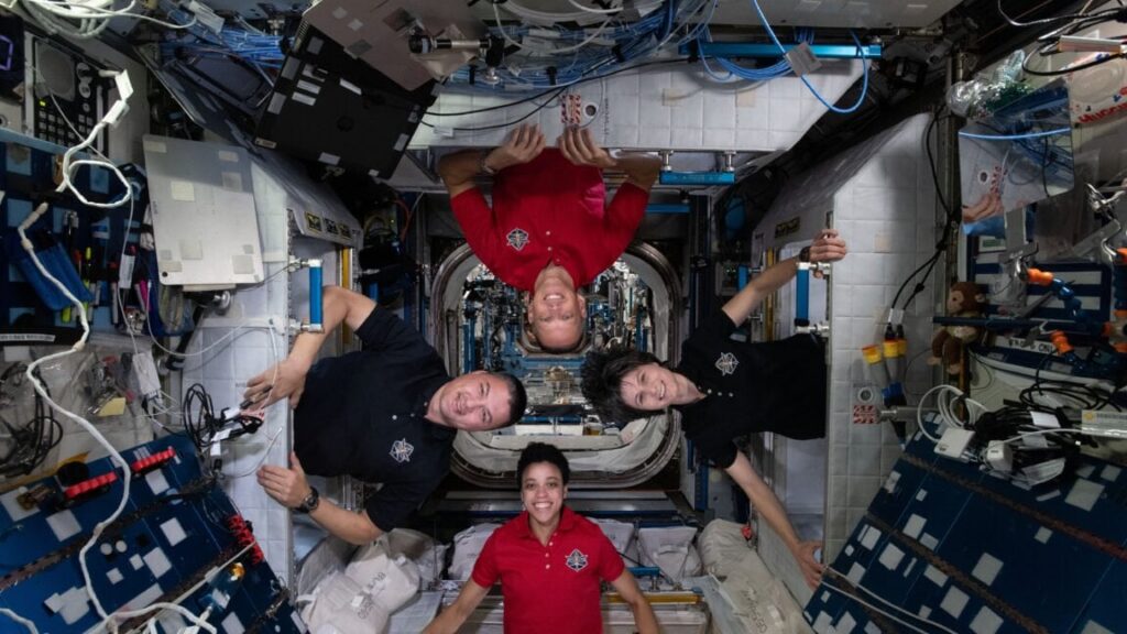 Ein kleines mikrobielles Ökosystem hat sich an der Internationalen Raumstation gebildet | Die bisher größte Studie der Mikroben der ISS -Microben, die wir möglicherweise zu sauber halten. Ein kleines mikrobielles Ökosystem hat sich an der Internationalen Raumstation gebildet | Die bisher größte Studie der Mikroben der ISS -Microben, die wir möglicherweise zu sauber halten.