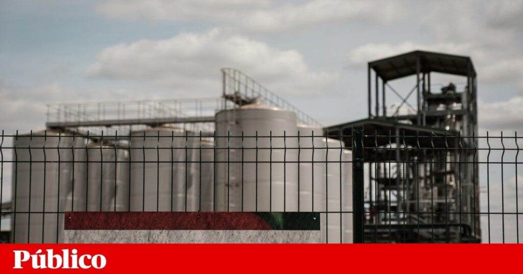 Alentejo Olive Bagasse wird weiterhin mit einem schlechten Geruch in Lissabon eindringen | Umgebung | ÖFFENTLICH Alentejo Olive Bagasse wird weiterhin mit einem schlechten Geruch in Lissabon eindringen | Umgebung | ÖFFENTLICH