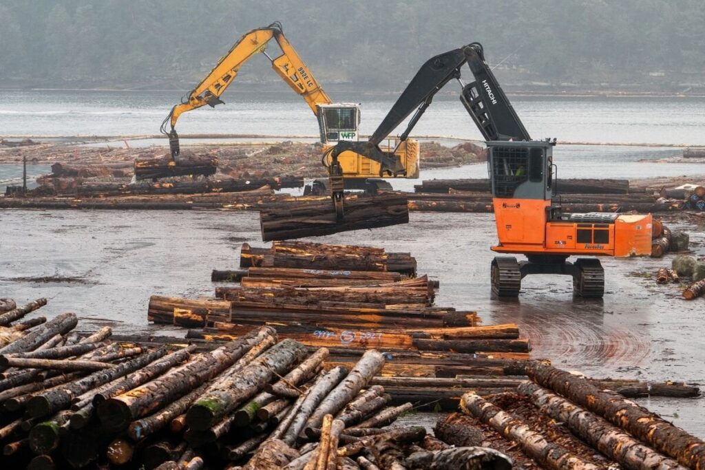 Die Holzpreise erreichten 2022 hoch, als die US -Tarife für ausländische Importe aus Kanada, Deutschland, Schweden, Brasilien und Mexiko untersucht Die Holzpreise erreichten 2022 hoch, als die US -Tarife für ausländische Importe aus Kanada, Deutschland, Schweden, Brasilien und Mexiko untersucht