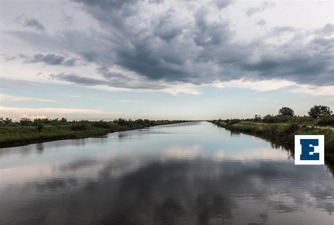 Delta Evros: In dem Ziel unbewusst oder wild lebt - sie haben Dutzende von Tieren und Vögeln übergeben und töten.
