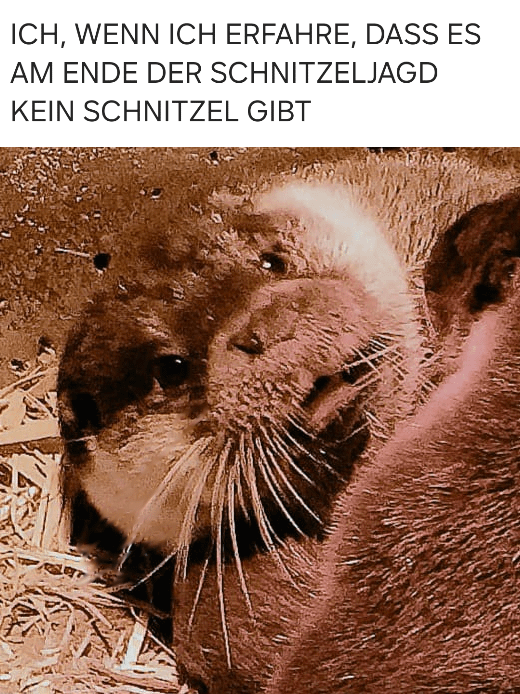 Na bitte
