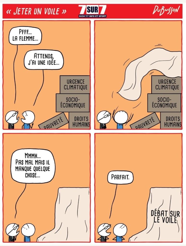 Einen Schleier werfen (Marc Dubuisson, @ungepott.bsky.social)