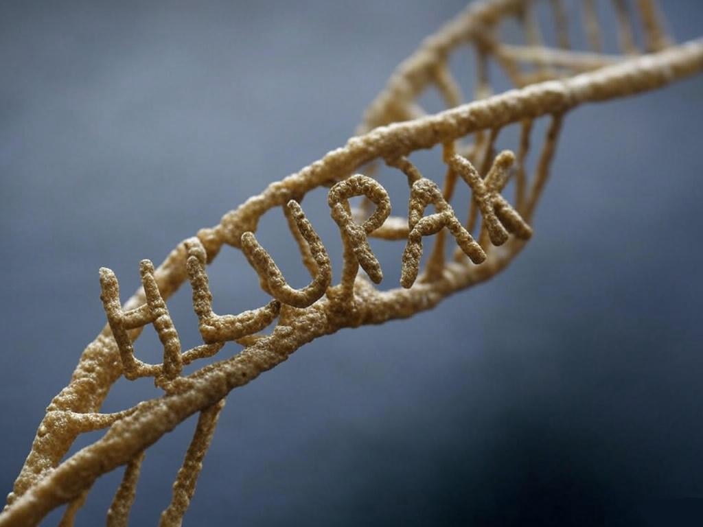 Wir kennen den ersten! Die Schüsse aus der Untersuchung der Kessel -DNA entkommen! Prauda gab bekannt, dass sie teilen, bis sie löschen.