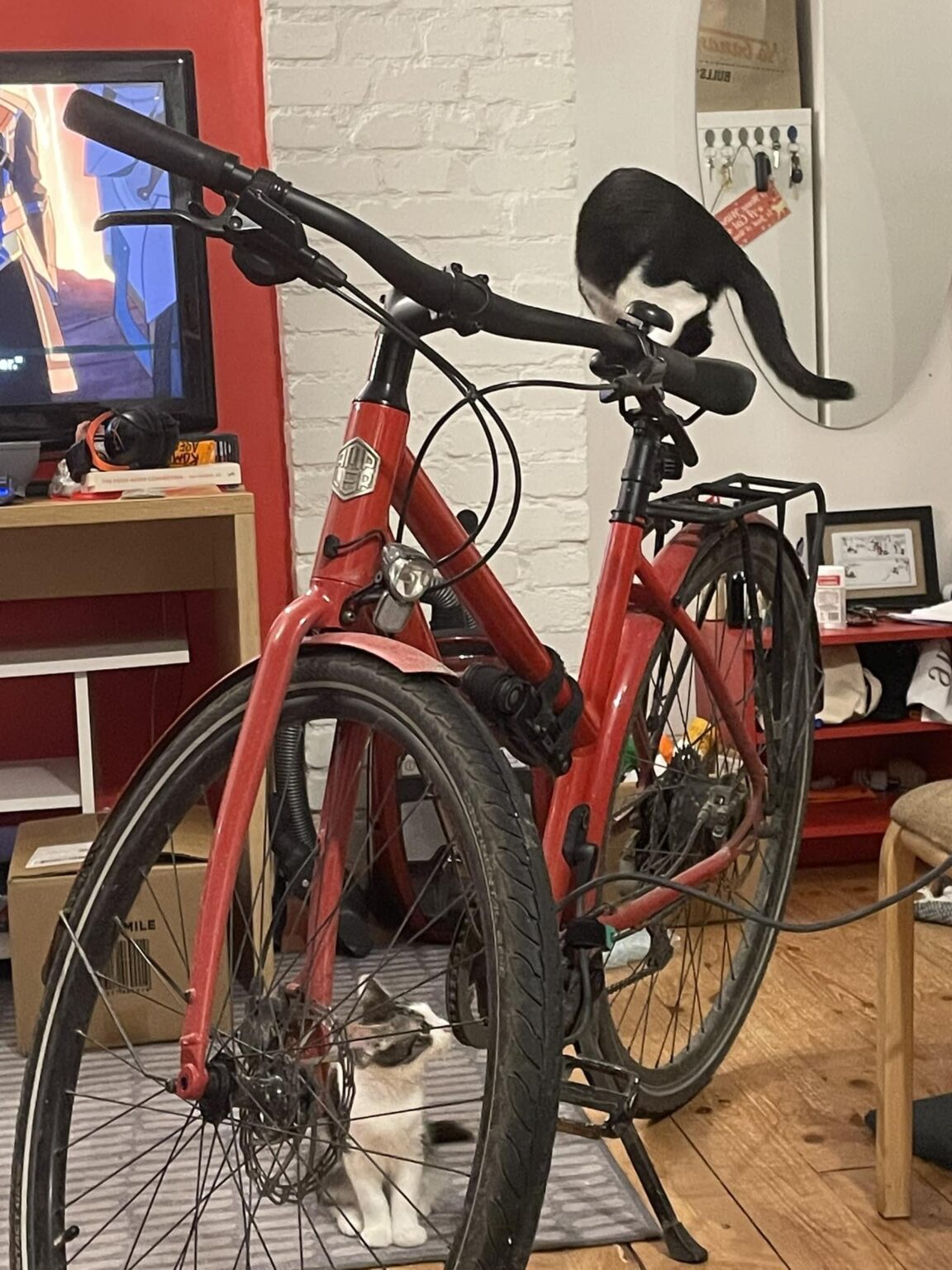 Tartu: Die Freundin wurde aus Ampler Stern 2021 Elektrebildfahrrad rot, Tartu, Vanemuine-Pepler gestohlen. Für den Finder oder Hinweis, mit dem das Rad eine Trinkgeld von 250 € beherbergt. Bitte helfen Sie dem Besitzer Tartu: Die Freundin wurde aus Ampler Stern 2021 Elektrebildfahrrad rot, Tartu, Vanemuine-Pepler gestohlen. Für den Finder oder Hinweis, mit dem das Rad eine Trinkgeld von 250 € beherbergt. Bitte helfen Sie dem Besitzer