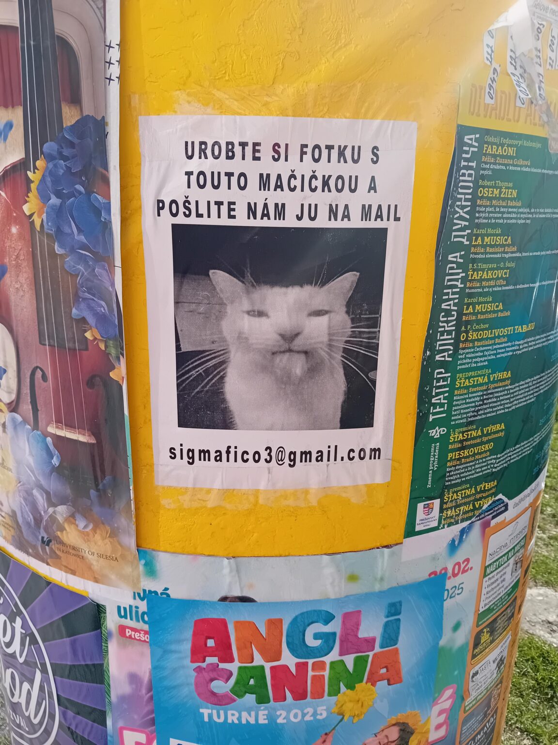 Gestehen, welcher von euch war? : D.