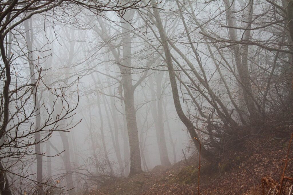 Chorterer