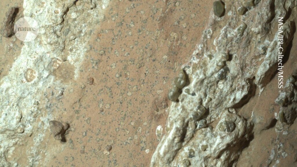 Hat Mars Leben leben? Eines der bisher stärksten Zeichen ist in einem eigenartigen Felsen entdeckt