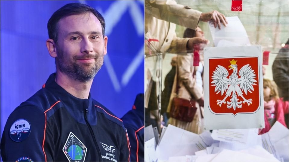 Rennen Sie weiter, um den Pierogi -Astronaut -Stimmrechte zu erhalten, damit er Stimmzettel aus dem Outerspace abgeben kann