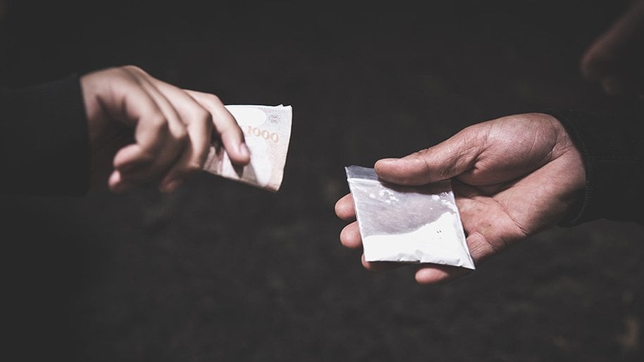 Artikel 8 über die Verpflichtung für Kuriere, eine Hintertür in der Narcotraic -Rechnung wieder einzustellen