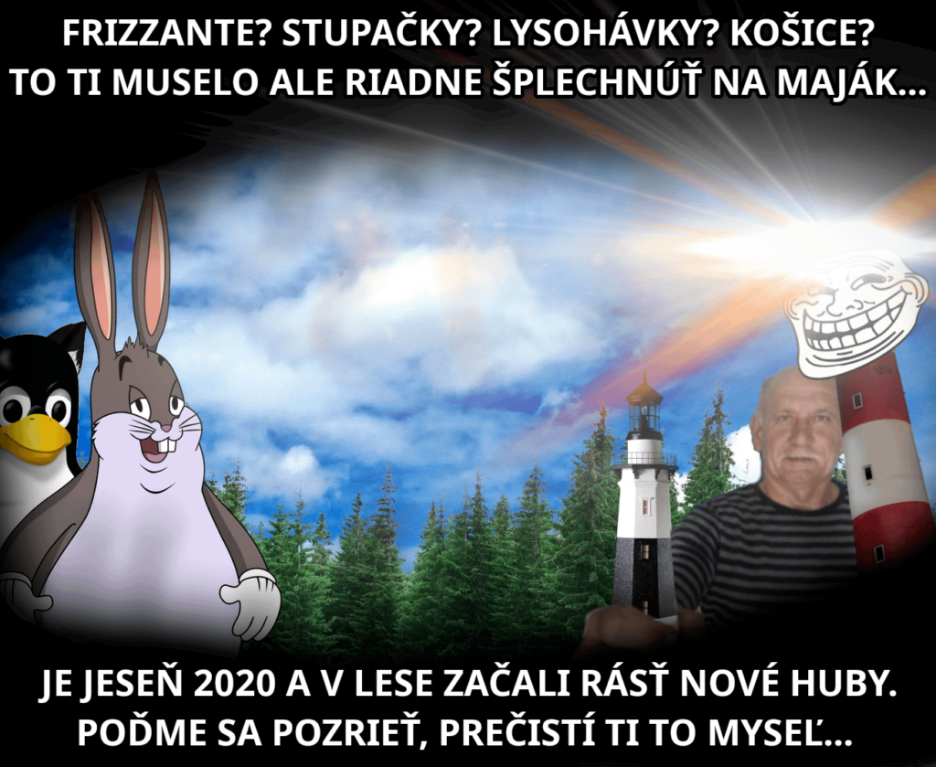 Heute bin ich am Morgen aufgewacht und ich sehe - der Majak scheint, die Chungus singen und unter -Blüte ... wir gehen mit Mr. Hubar zum Pohrezie, wie in guter alter Zeit!