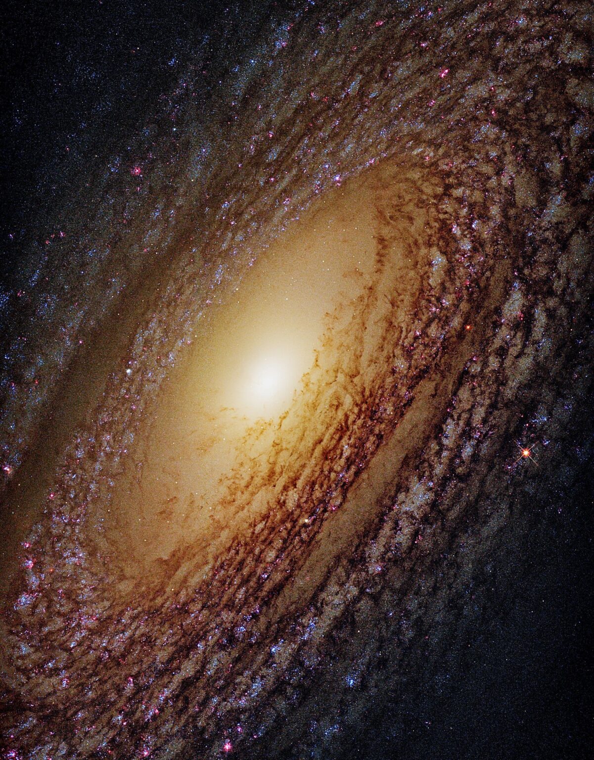 Der Sturm eines Billionen Sterne Hubble