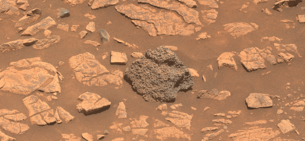 Sprudelbotryoidales Gestein, das diese Woche vom Ausdauer Rover auf der Oberfläche des Mars abgebildet ist.