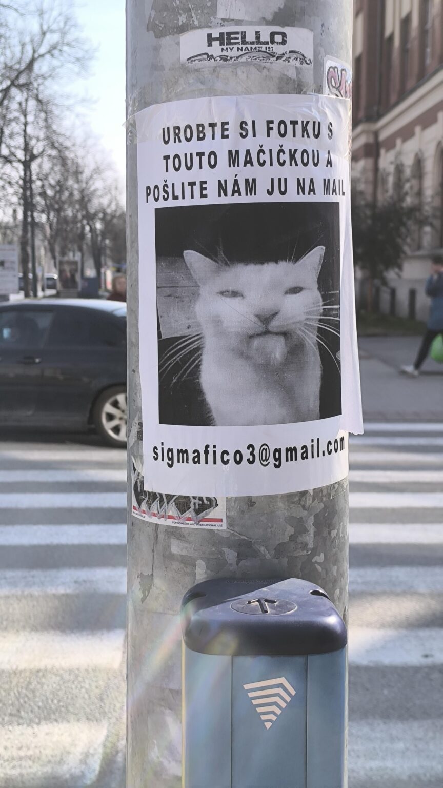 Poster mit dem Foto einer Katze.