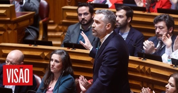Vision | Spinumviva: PSD schlug vor, Pedro Nuno (privat) Dokumente zu zeigen, um CPI zu sperren
