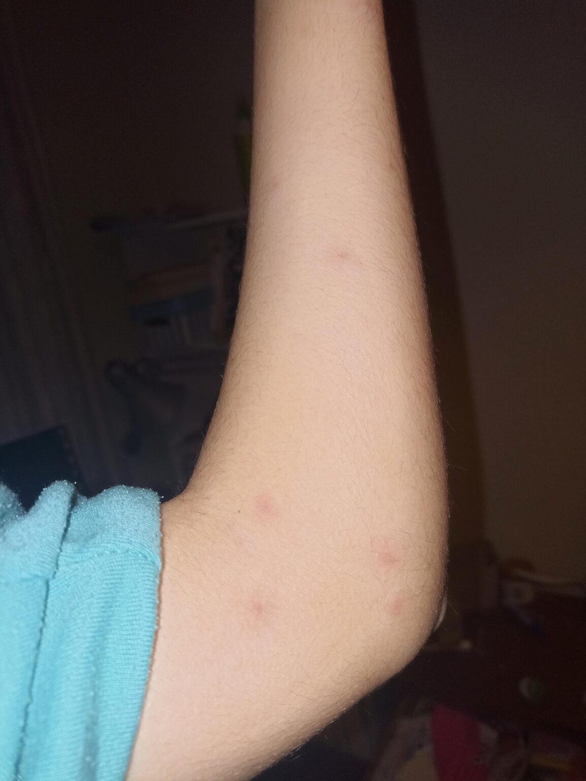 Hilf mir zu wissen, welches Tier mich stößt!