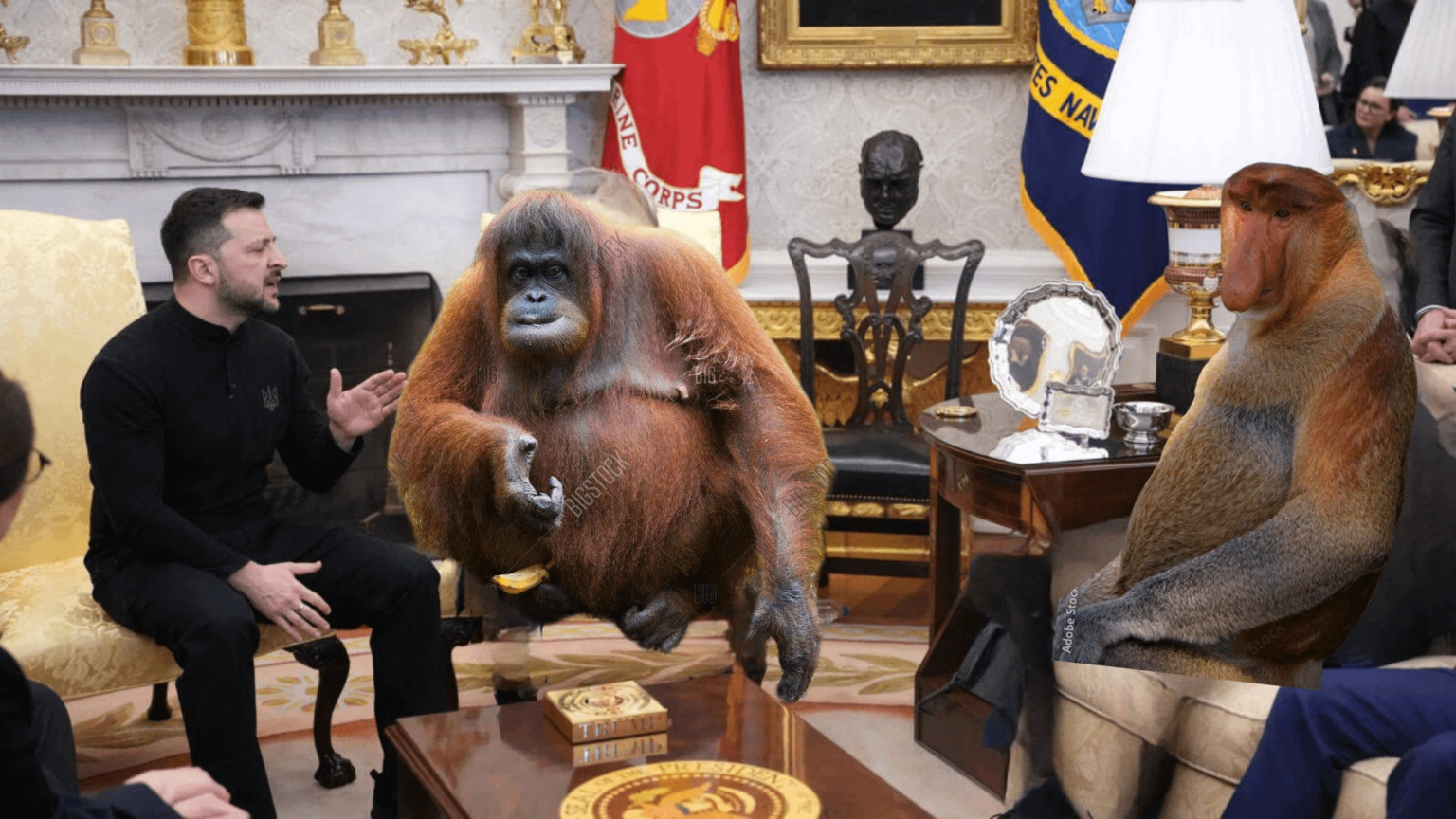 Wie sehe ich Zelensky und Trump? Ich sehe Feat JD Väintz