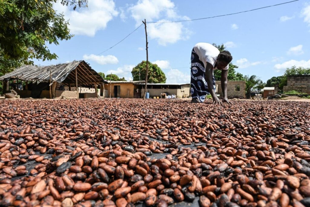 In Frankreich importierte Lebensmittel wie Kaffee, Kakao oder Vanille haben schwerwiegende soziale und ökologische Konsequenzen für die Herstellung von Ländern