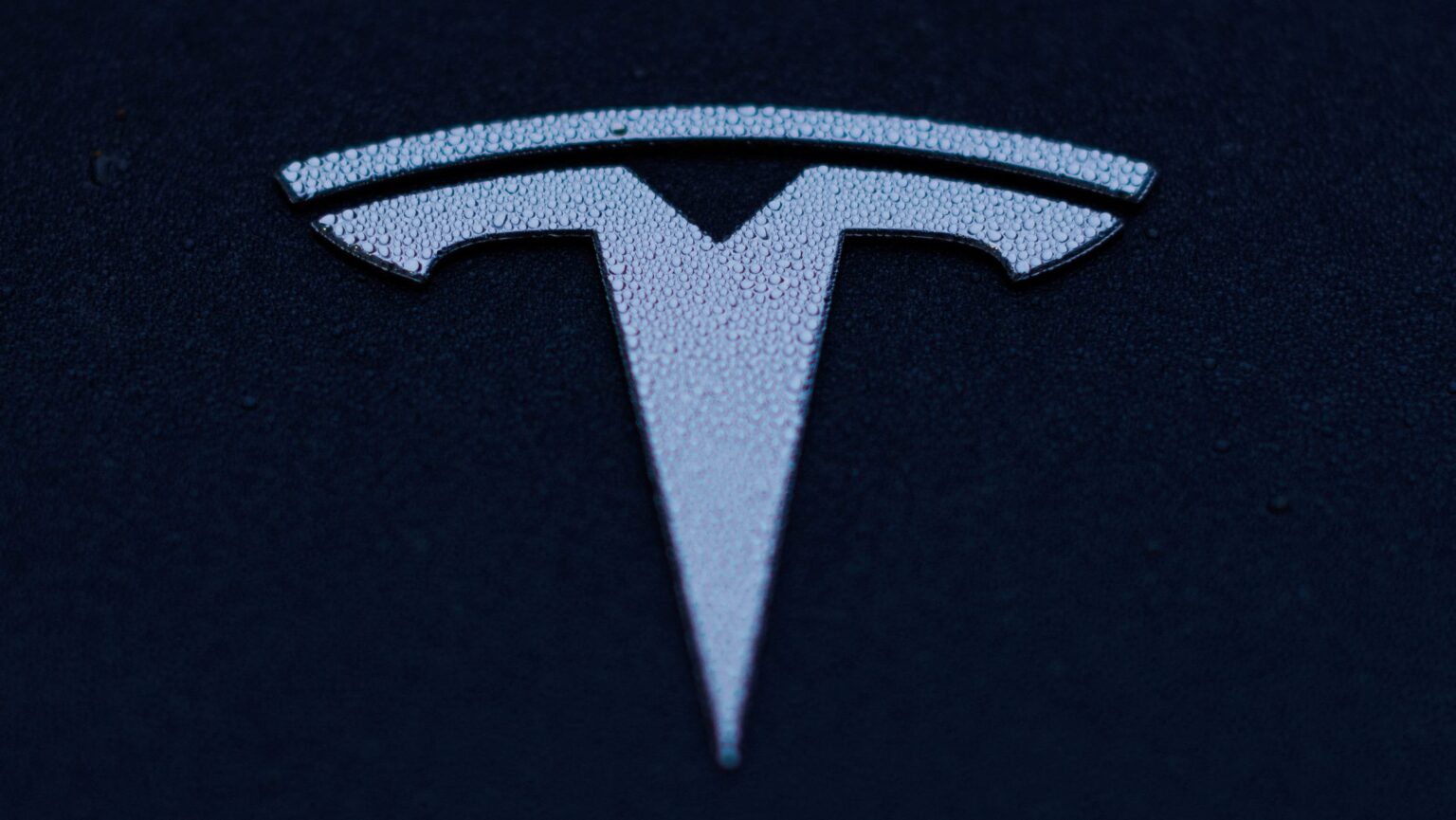 Tesla -Gewinne fallen 71% inmitten von Musks Rolle bei der Trump -Administration