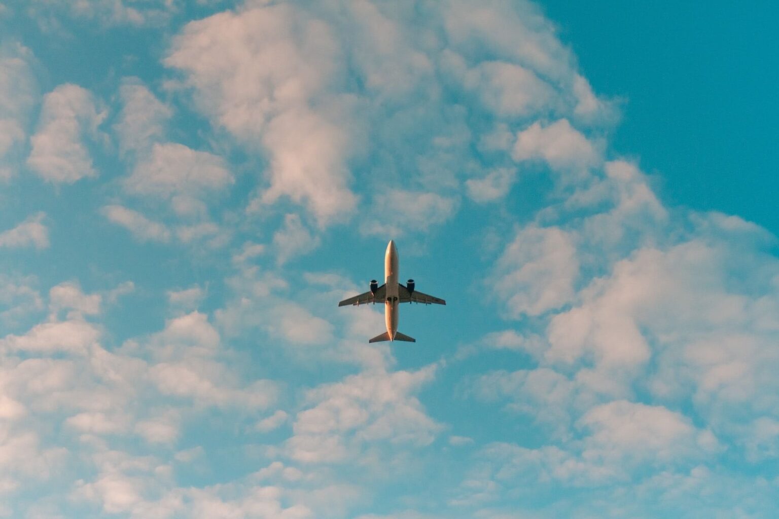 Ich habe das Flugzeug 7 Jahre lang nicht durch ökologische Verurteilung, mein Feedback, nicht eingenommen Ich habe das Flugzeug 7 Jahre lang nicht durch ökologische Verurteilung, mein Feedback, nicht eingenommen