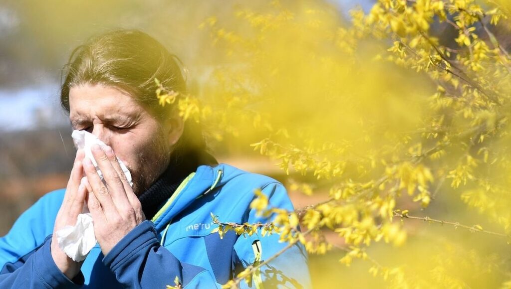 Pollen: Ein neues Gerät, das von Atmo France gestartet wurde, um die Allergie -Risikokarte zu ersetzen