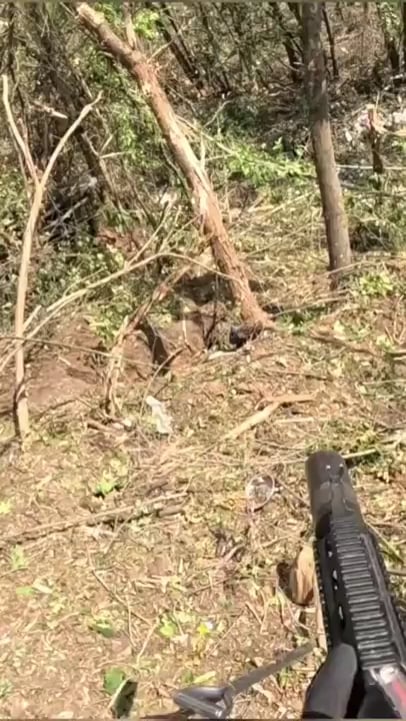 Feind sichtbar, der ukrainische Soldat nimmt die feindliche Infanterie in der Baumgrenze heraus - 2023