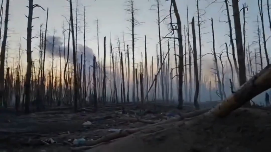 Eine Auswahl von Kämpfen im Serebryansky -Wald in der Region Luhansk. Veröffentlicht von ausländischen Freiwilligen der Thorne Group Unit der Internationalen Legion