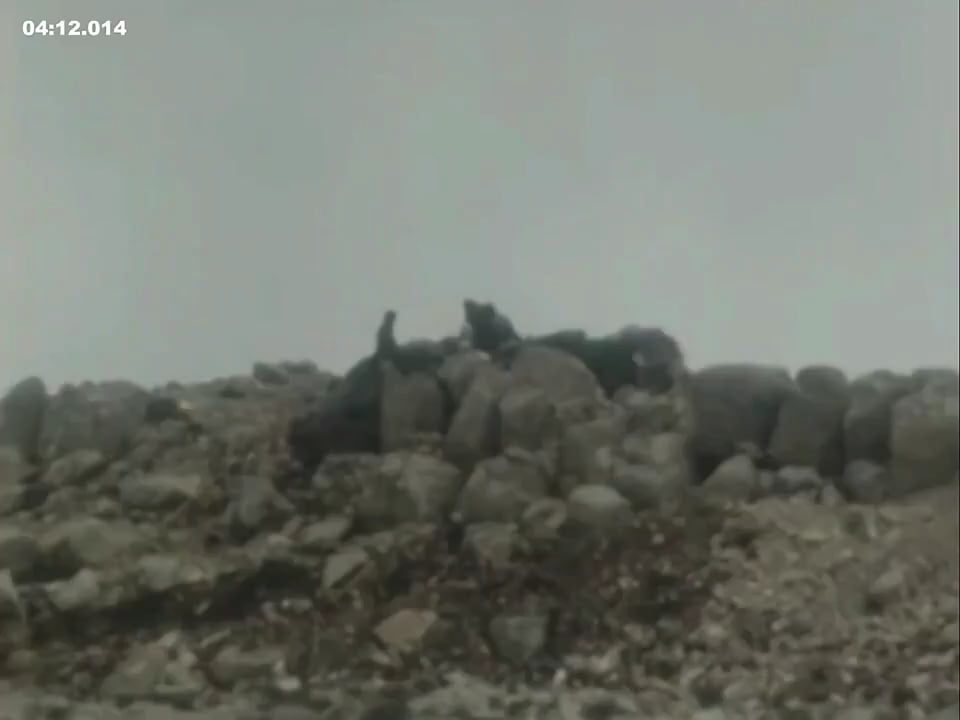 Filmmaterial aus der Schlacht von Zahle während des libanesischen Bürgerkriegs