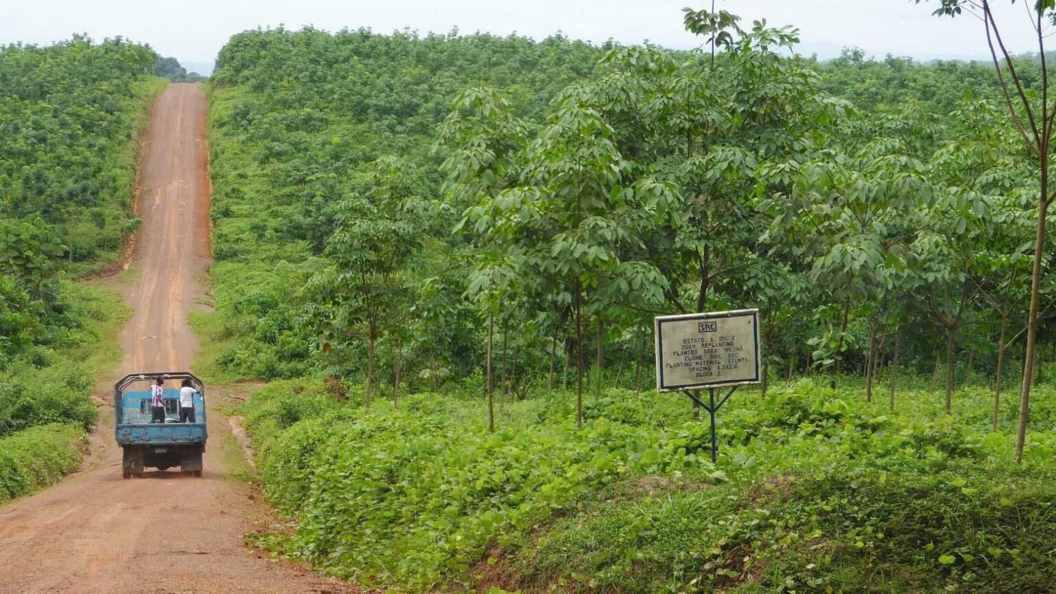 Als IFC einen verdammten Bericht über eine liberianische Gummiplantage verschoben hat, verkaufte der Eigentümer das Geschäft