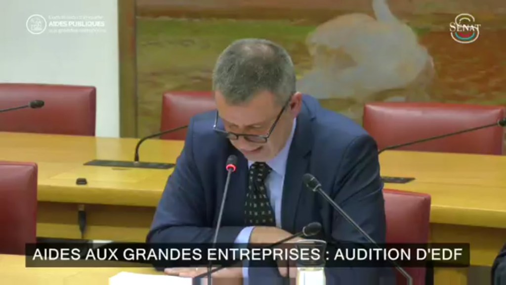Zeugnis vor dem Senat von Luc Rémont, CEO von EDF, Dienstag, 22. April, über die Herausforderungen der Stabilität des Stromnetzes in den kommenden Jahren.