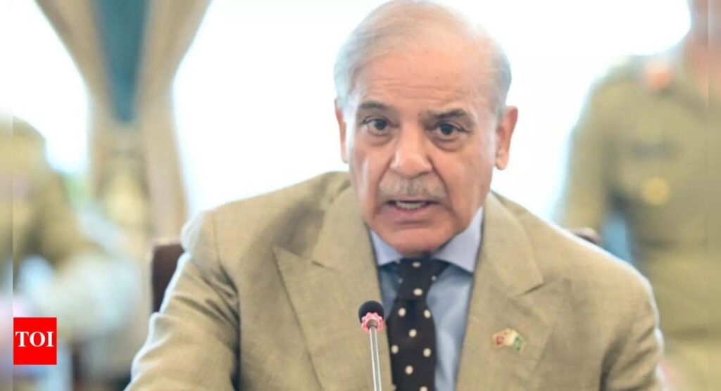Pakistan sucht 1,4 Milliarden US -Dollar aus China inmitten steigender Spannungen mit Indien