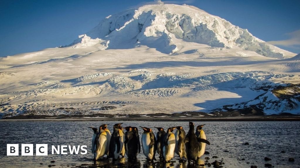 Nowhere ist Safe ': Wie eine Insel Pinguine auf der Trump -Tarifliste landete