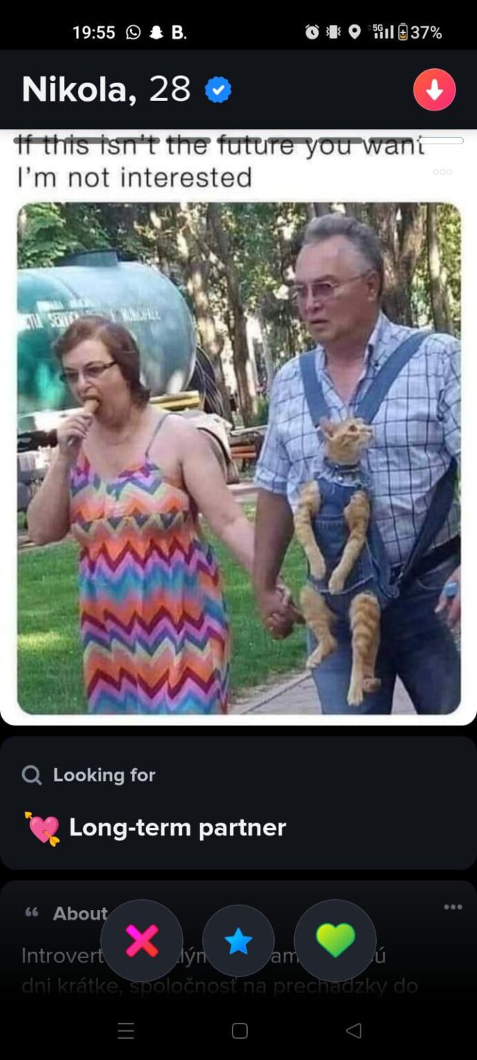 Ich suche meine zukünftige Frau Ich suche meine zukünftige Frau